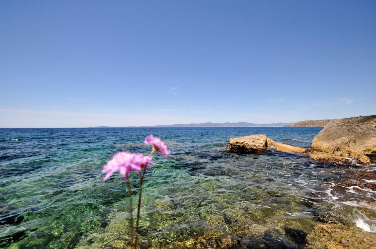 Villa Hugo- Badia Gran- Llucmajor- Mallorca Eksteriør billede